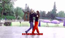 慢四步交谊舞教学视频,优雅舞步，浪漫旋律
