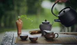 喝茶视频,一探究竟的喝茶视频之旅