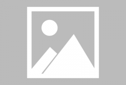 小猴子的视频,小猴子视频集锦