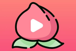 桃子视频,揭秘生活百态，畅享视觉盛宴