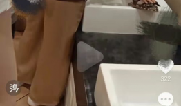 小便视频,一场关于生理现象的趣味探索